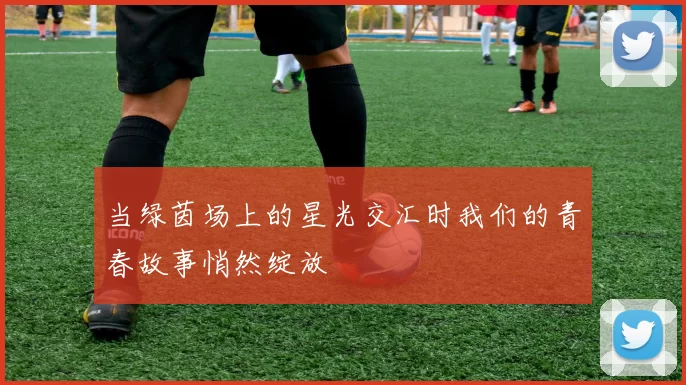 当绿茵场上的星光交汇时我们的青春故事悄然绽放