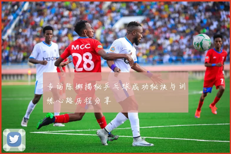 专访陈娜揭秘乒乓球成功秘诀与训练心路历程分享