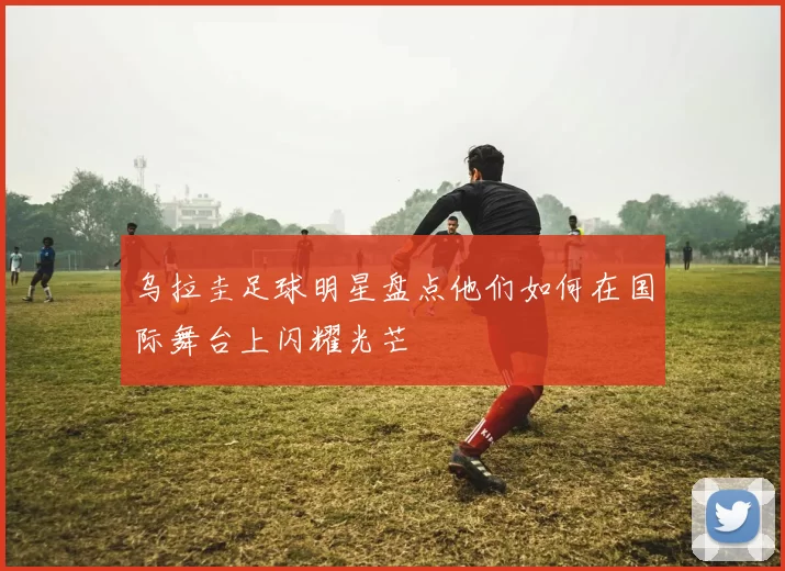 乌拉圭足球明星盘点他们如何在国际舞台上闪耀光芒