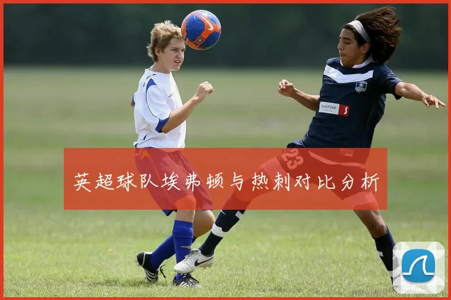 英超球队埃弗顿与热刺对比分析