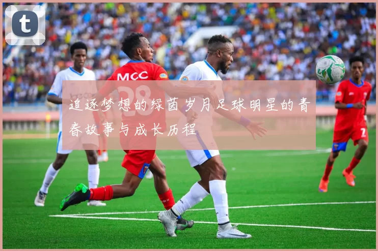 追逐梦想的绿茵岁月足球明星的青春故事与成长历程