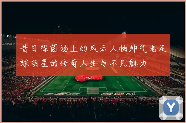 昔日绿茵场上的风云人物帅气老足球明星的传奇人生与不凡魅力