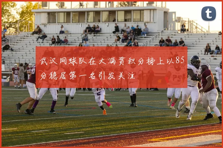 武汉网球队在大满贯积分榜上以85分稳居第一名引发关注