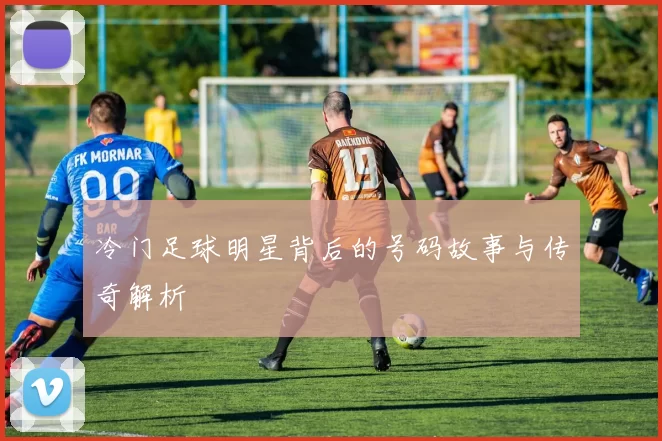 冷门足球明星背后的号码故事与传奇解析