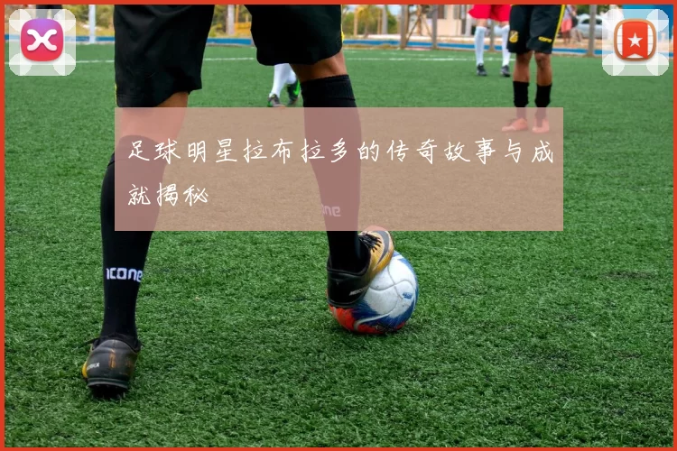 足球明星拉布拉多的传奇故事与成就揭秘