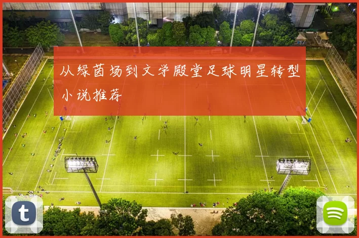 从绿茵场到文学殿堂足球明星转型小说推荐