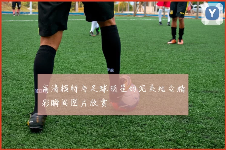 高清模特与足球明星的完美结合精彩瞬间图片欣赏