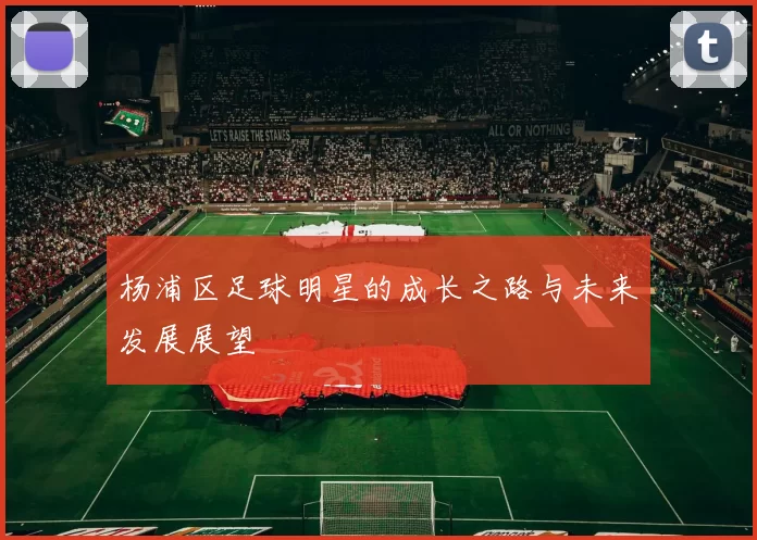 杨浦区足球明星的成长之路与未来发展展望
