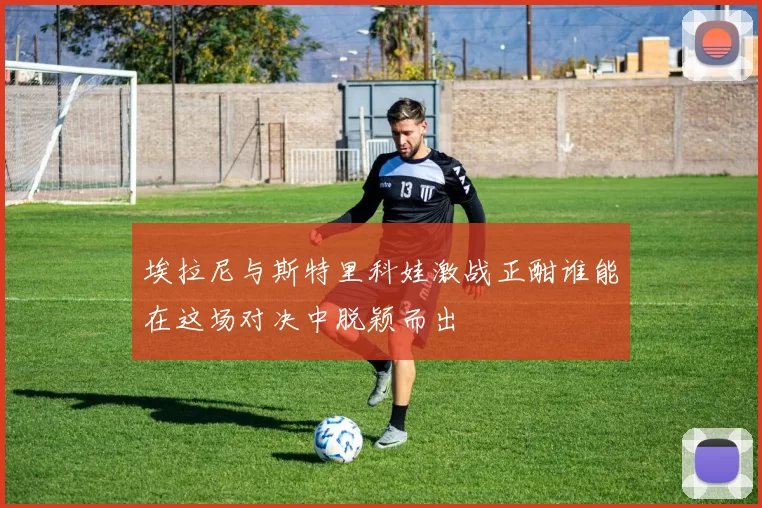 埃拉尼与斯特里科娃激战正酣谁能在这场对决中脱颖而出